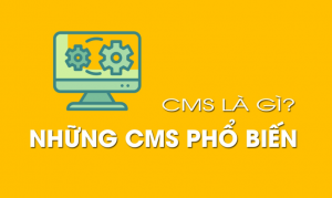 CMS là gì? Các CMS phổ biến hiện nay.