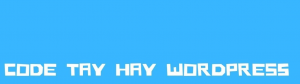 Nên sử dụng code tay hay dùng CMS.