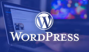 Mã nguồn WordPress.