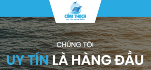 Cẩm Thạch Company