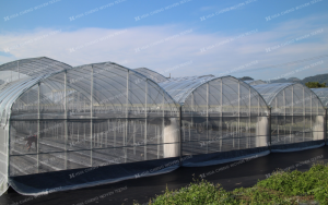 Mua sản phẩm nông nghiệp tại Hsia Cheng có tốt không?