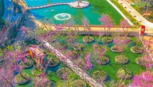 hoa anh đào fresh garden đà lạt