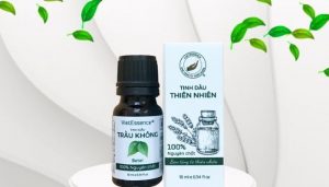 Địa chỉ mua tinh dầu uy tín