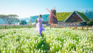 vườn hoa khổng lồ fresh garden đà lạt