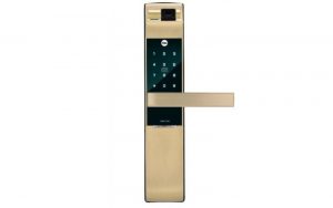 ổ khóa Yale YDM7116A CG
