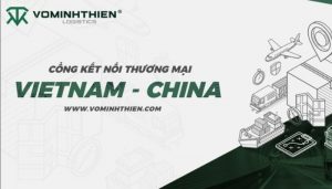 VMT là công ty mua hàng 1688 uy tín
