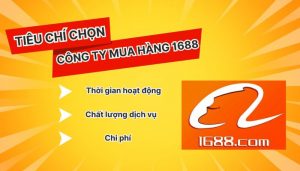 Tiêu chí quan trọng khi chọn công ty mua hộ hàng 1688