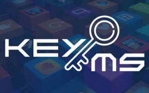 Mua phần mềm bản quyền và kích kích hoạt giá rẻ tại EKEYMS