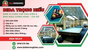 Bida Trọng Hiếu
