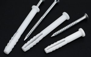 cách chọn mua tắc kê phù hợp