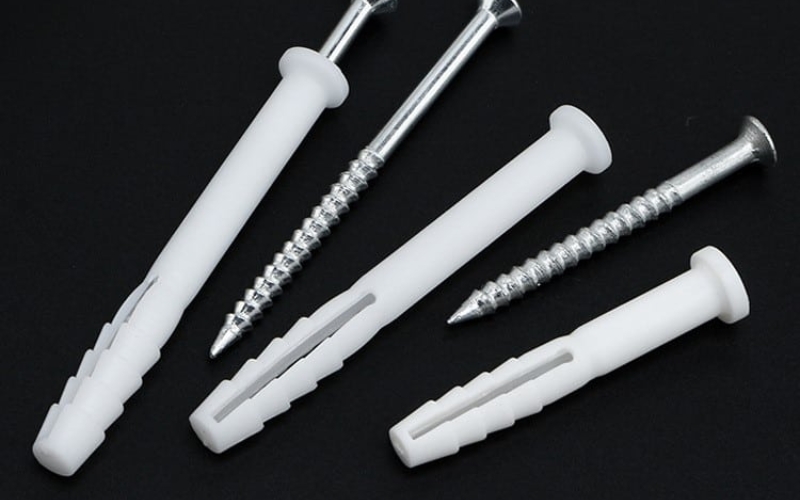 cách chọn mua tắc kê phù hợp